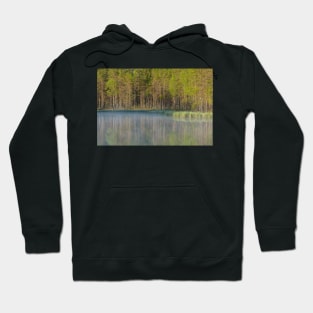 Forest reflecting to small lake at morning Hoodie